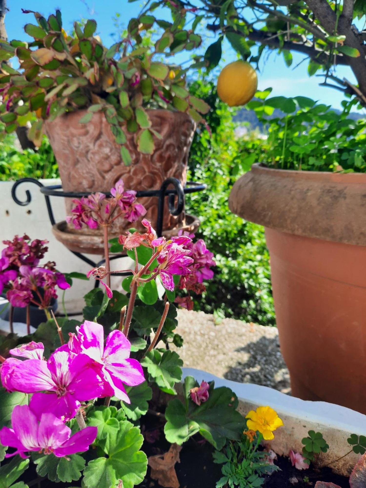 Вилла Vasilis Garden House Кавала Экстерьер фото